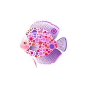 Dotty Discus